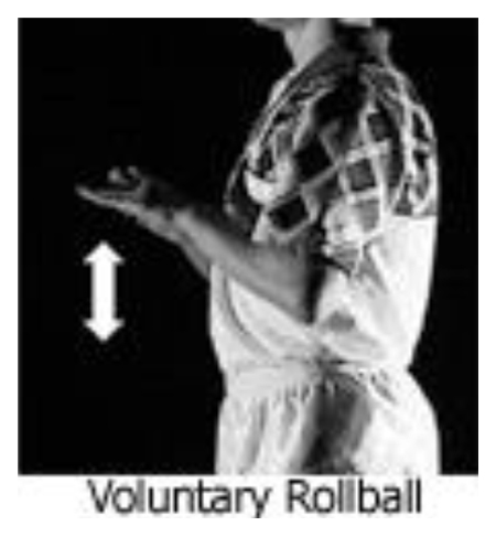 voluntaryrollball